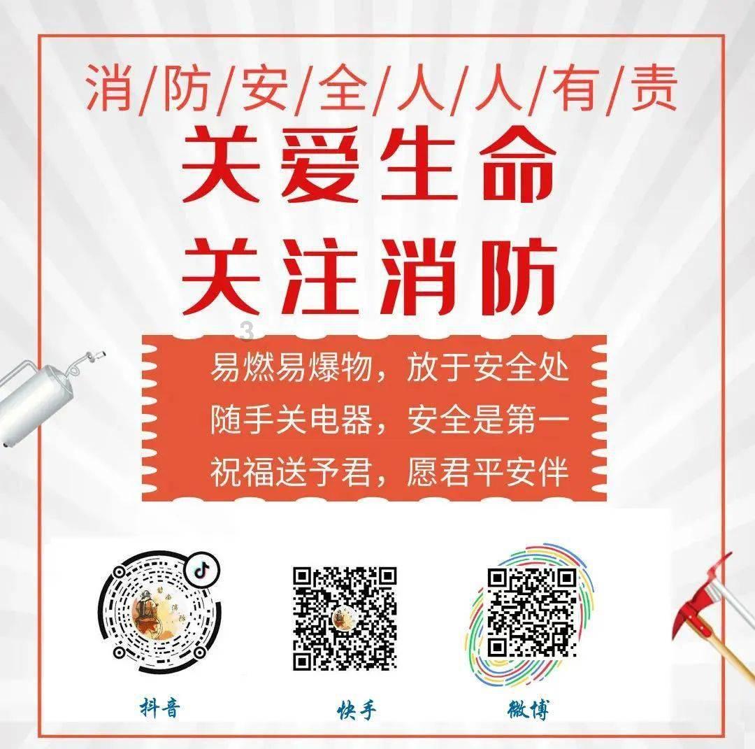 硕大的苹果